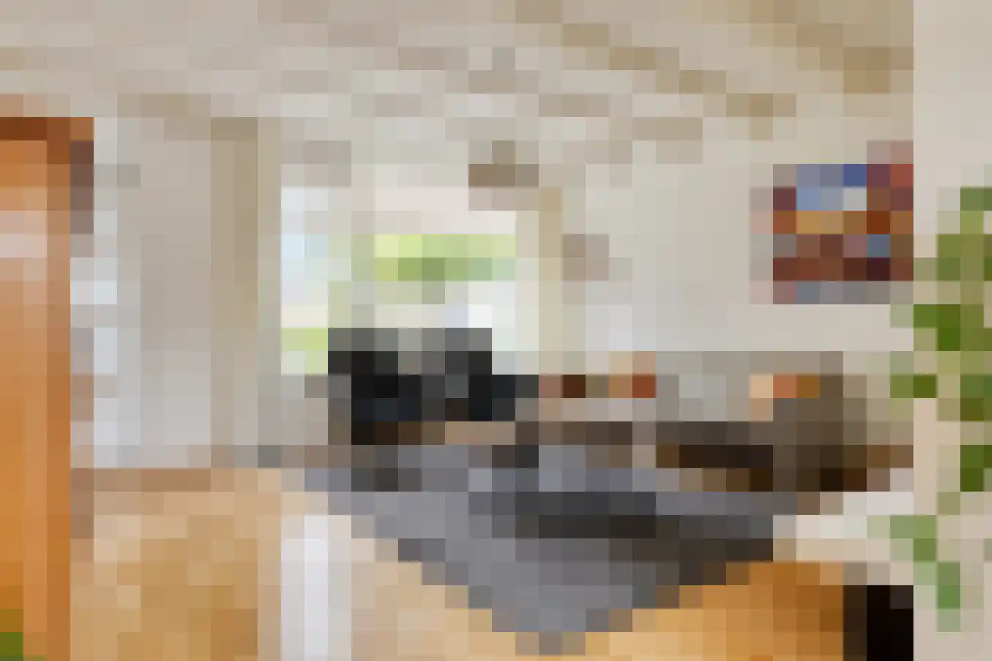 Elzeplein 2 Steenbergen thumbnail 14