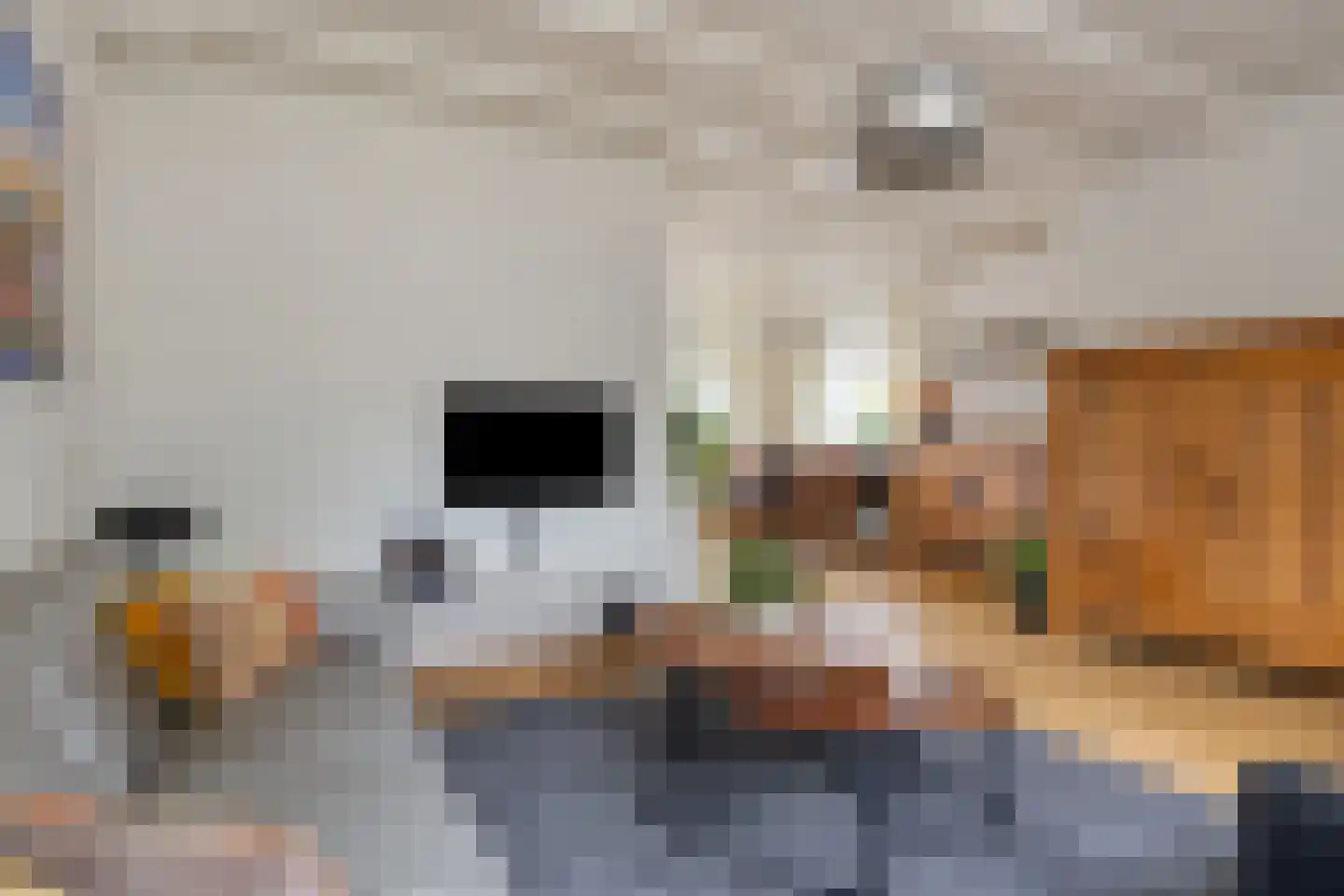 Elzeplein 2 Steenbergen thumbnail 18