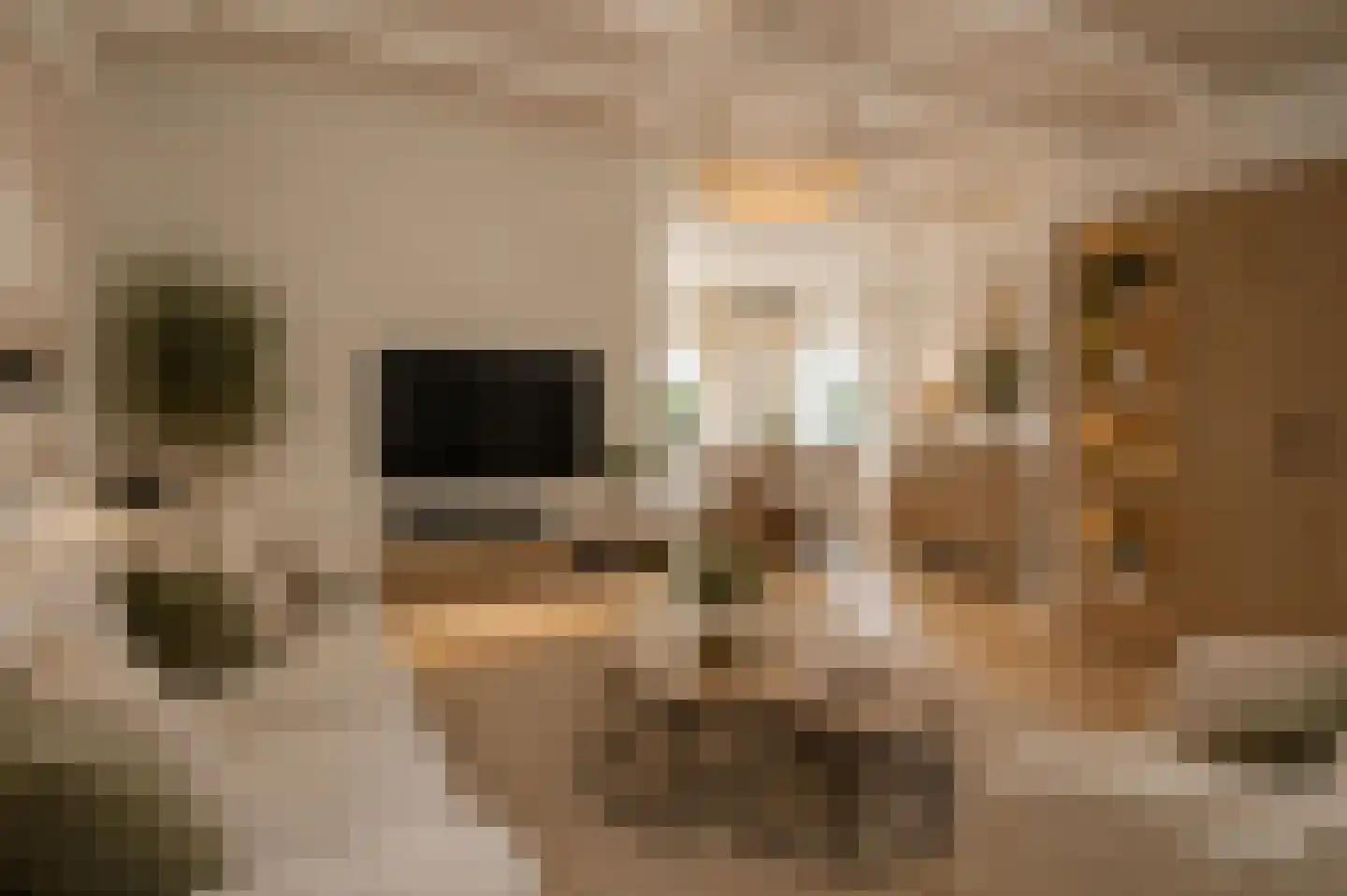Elzeplein 2 Steenbergen thumbnail 19