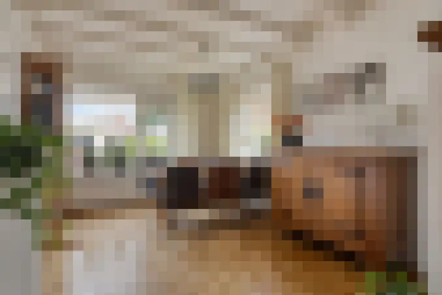 Elzeplein 2 Steenbergen thumbnail 20