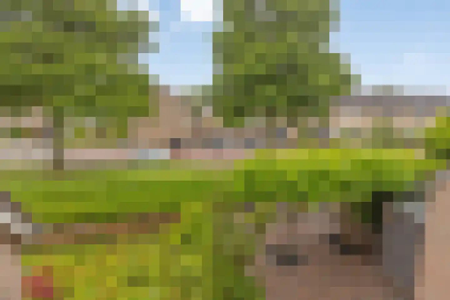 Elzeplein 2 Steenbergen thumbnail 38