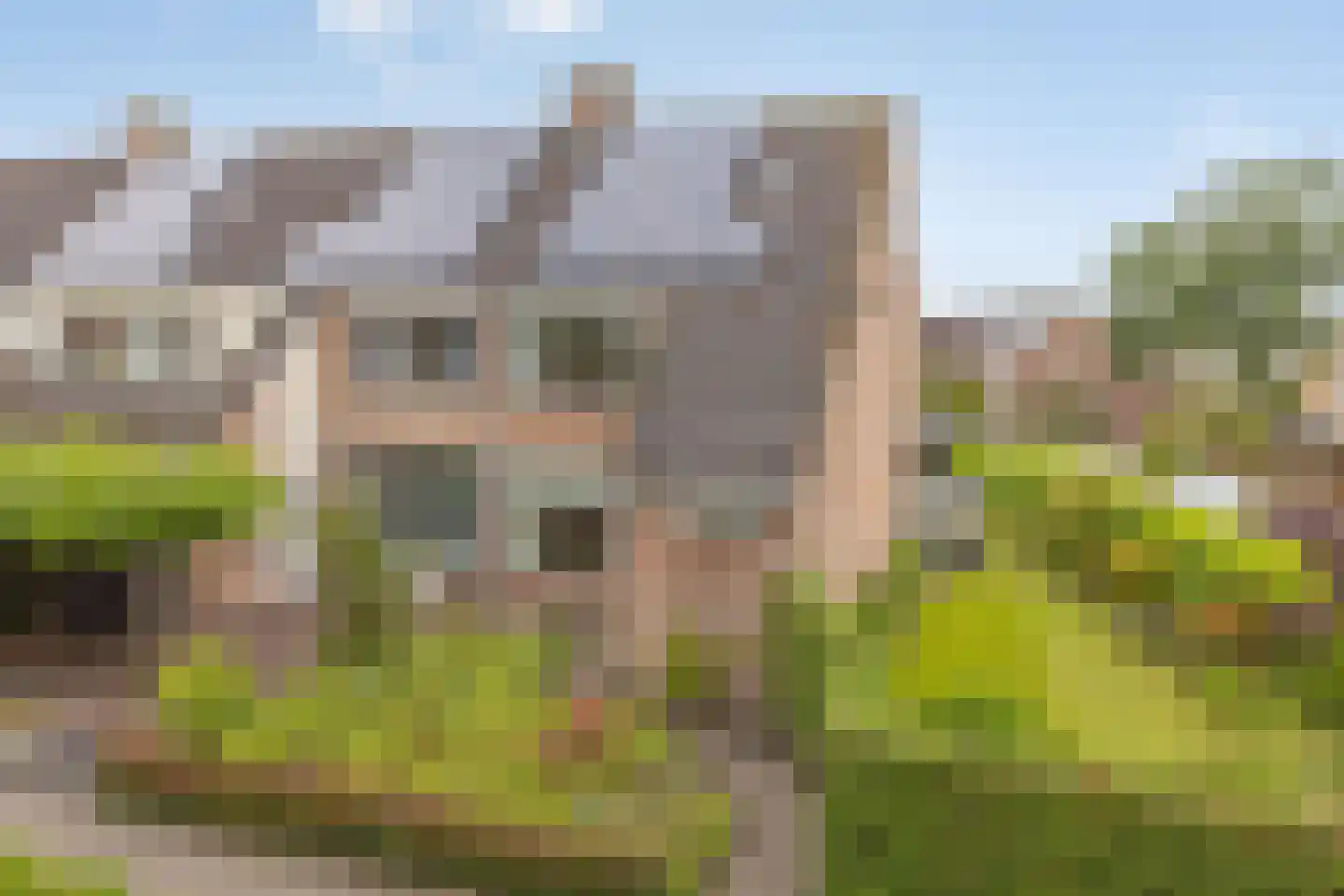 Elzeplein 2 Steenbergen thumbnail 4