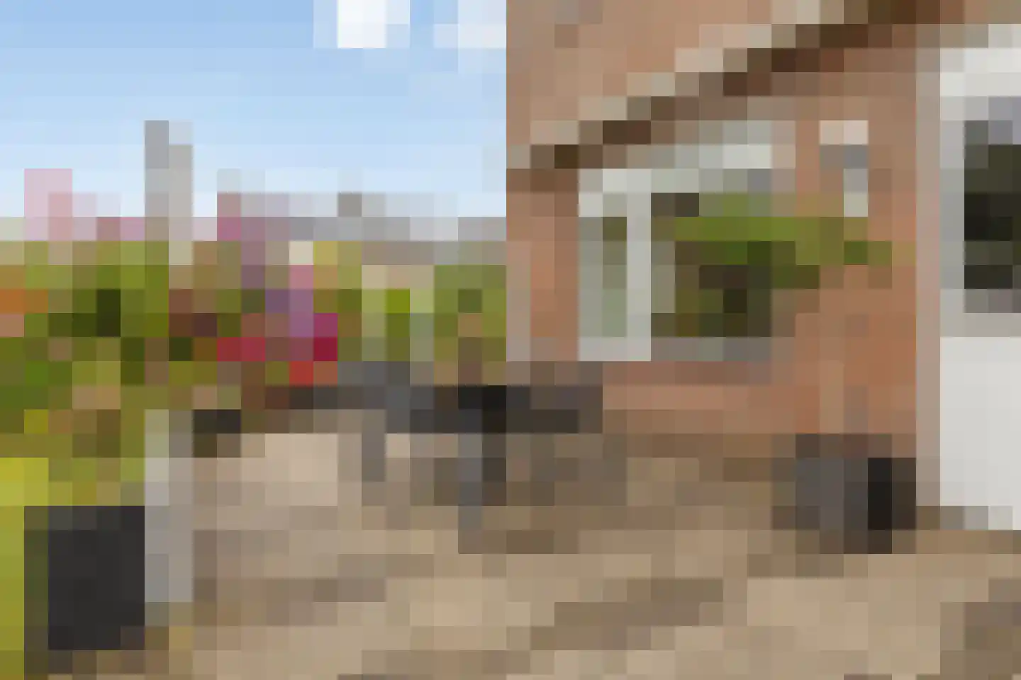 Elzeplein 2 Steenbergen thumbnail 55