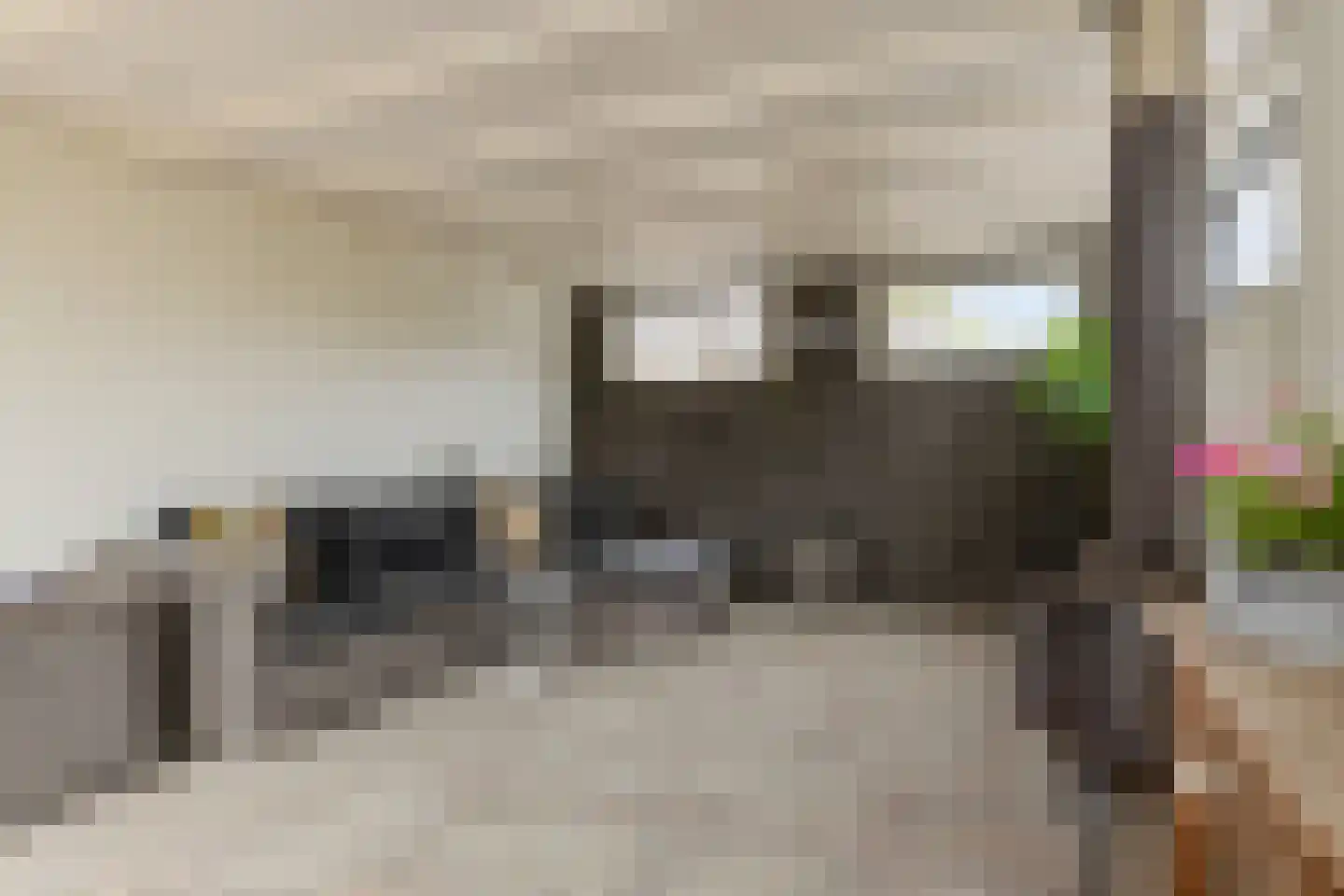 Elzeplein 2 Steenbergen thumbnail 62