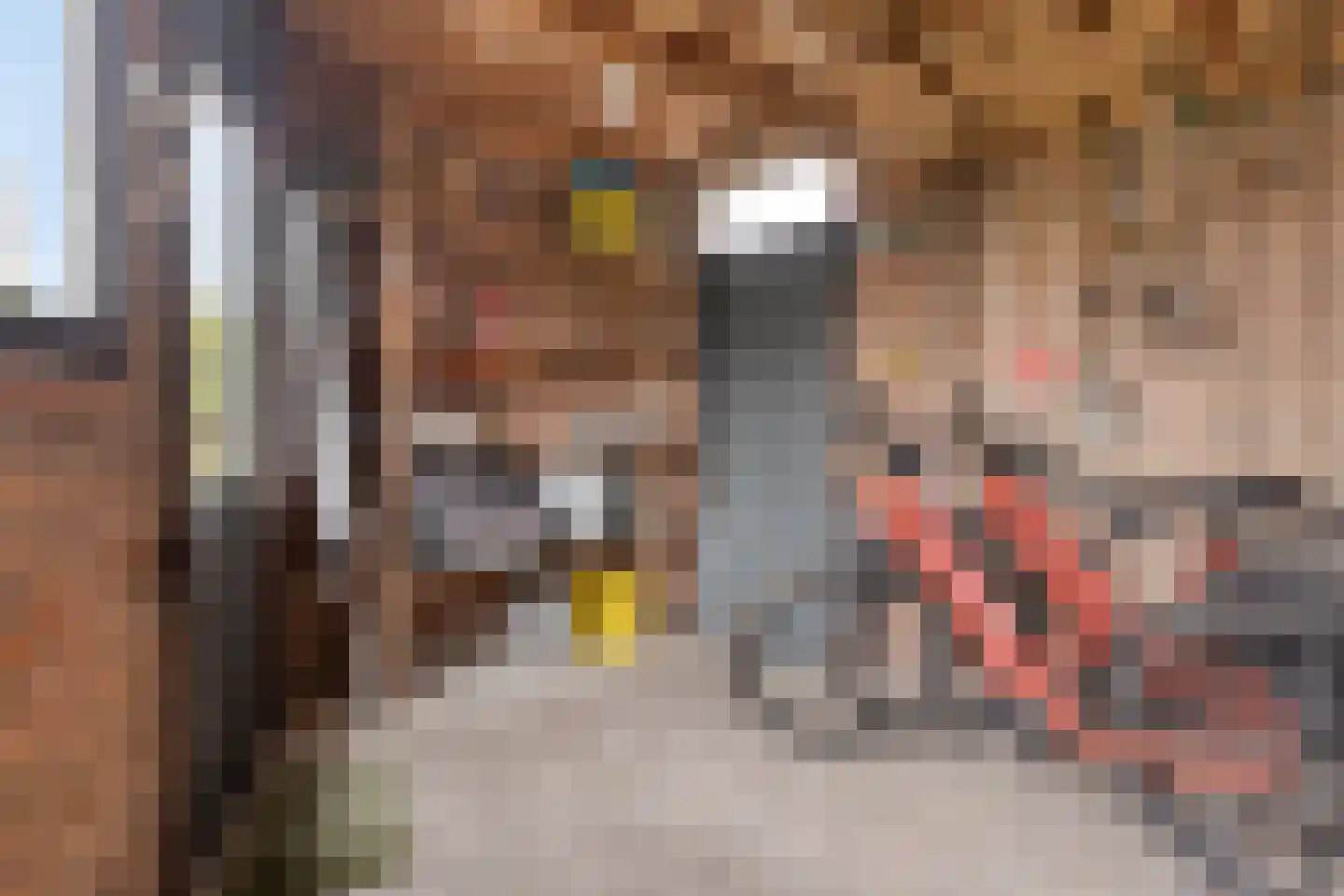 Elzeplein 2 Steenbergen thumbnail 66