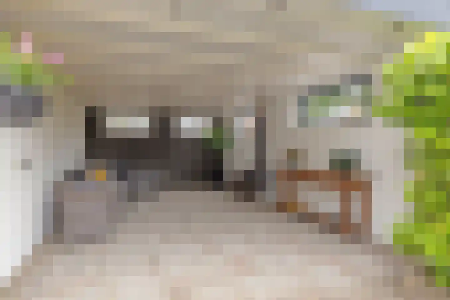 Elzeplein 2 Steenbergen thumbnail 69