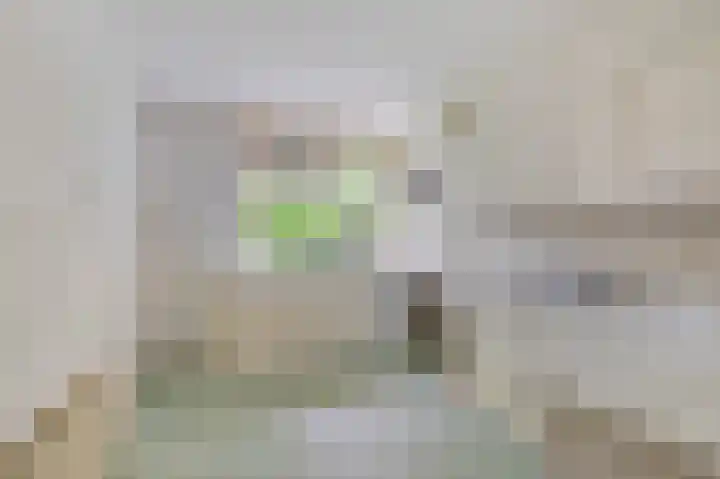 Elzerdijk 10 Joppe thumbnail 11