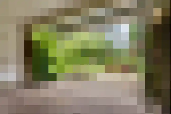 Elzerdijk 10 Joppe thumbnail 14
