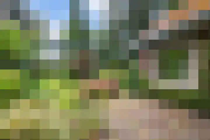 Elzerdijk 10 Joppe thumbnail 15