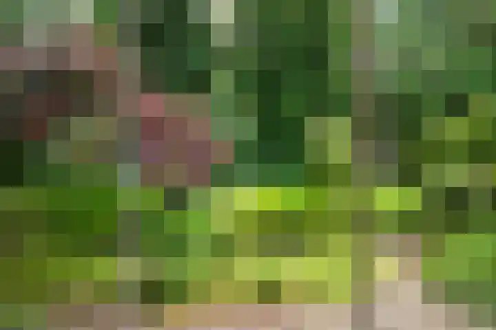 Elzerdijk 10 Joppe thumbnail 16