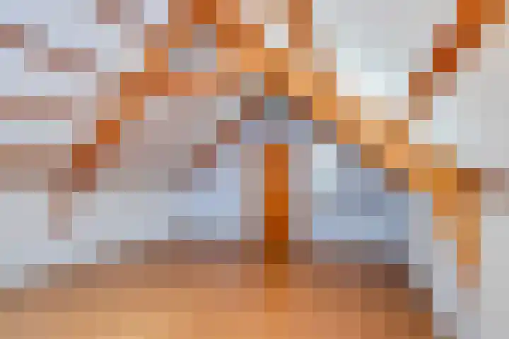 Elzerdijk 10 Joppe thumbnail 25