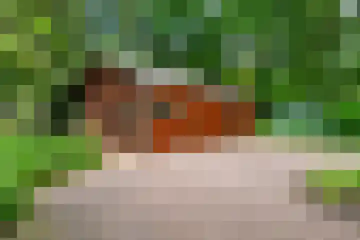 Elzerdijk 10 Joppe thumbnail 29