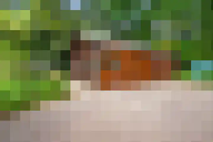 Elzerdijk 10 Joppe thumbnail 30