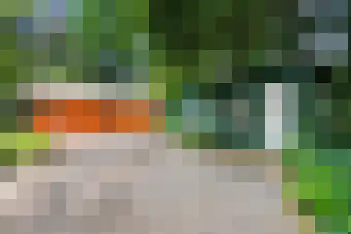 Elzerdijk 10 Joppe thumbnail 31