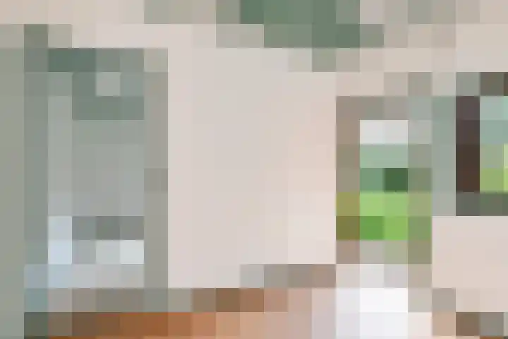 Elzerdijk 10 Joppe thumbnail 34