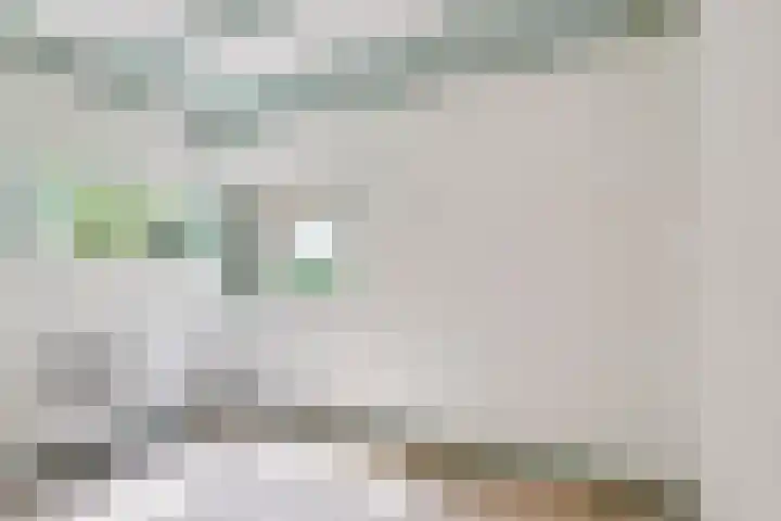 Elzerdijk 10 Joppe thumbnail 36