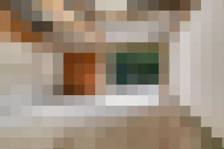 Elzerdijk 10 Joppe thumbnail 38