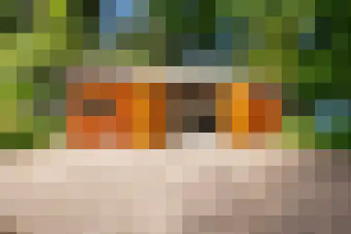 Elzerdijk 10 Joppe thumbnail 39