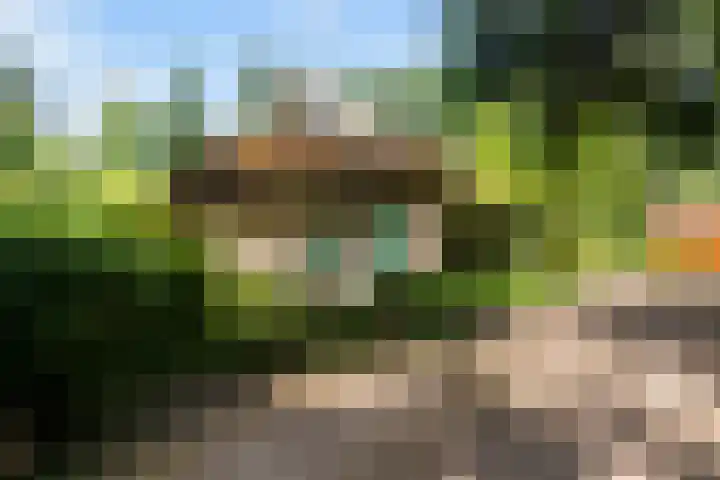 Elzerdijk 10 Joppe thumbnail 4