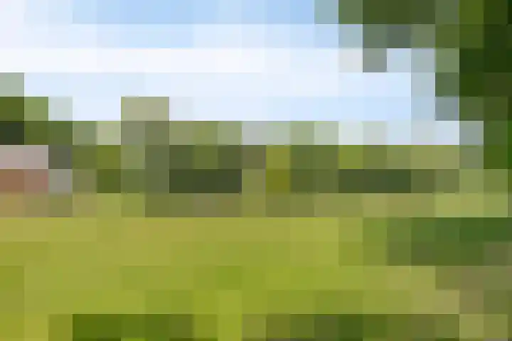 Elzerdijk 5 Joppe thumbnail 10