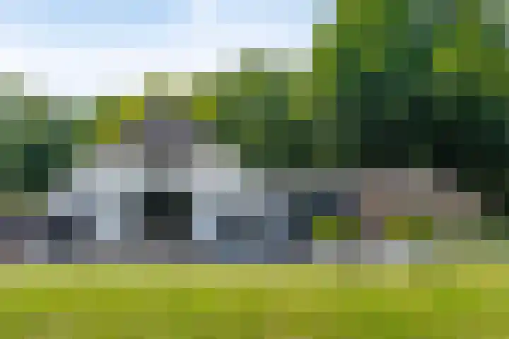 Elzerdijk 5 Joppe thumbnail 11