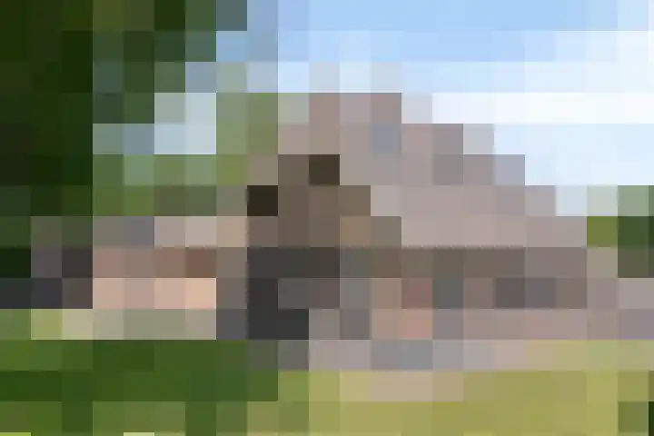 Elzerdijk 5 Joppe thumbnail 12
