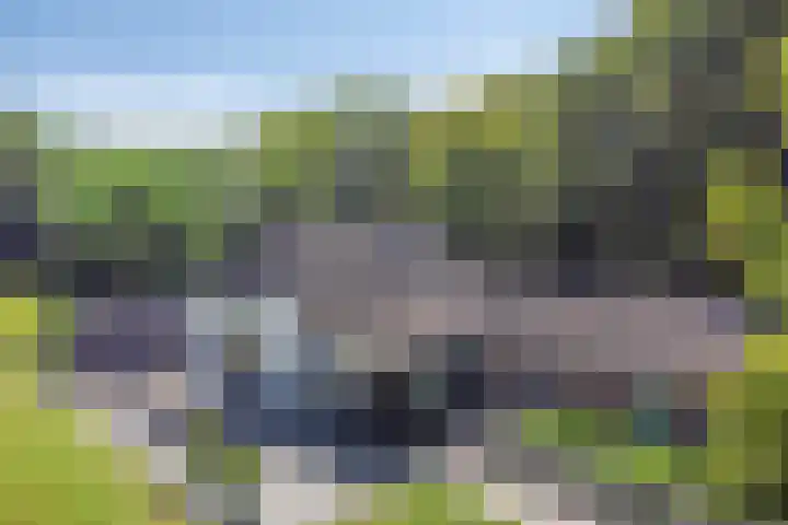 Elzerdijk 5 Joppe thumbnail 13