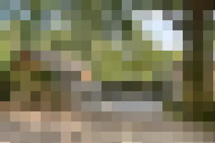 Elzerdijk 5 Joppe thumbnail 14