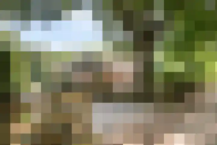 Elzerdijk 5 Joppe thumbnail 15