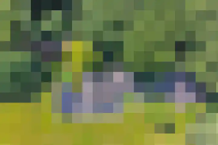 Elzerdijk 5 Joppe thumbnail 17