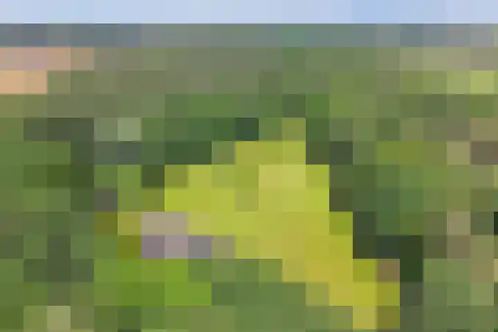 Elzerdijk 5 Joppe thumbnail 18