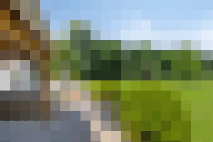 Elzerdijk 5 Joppe thumbnail 19