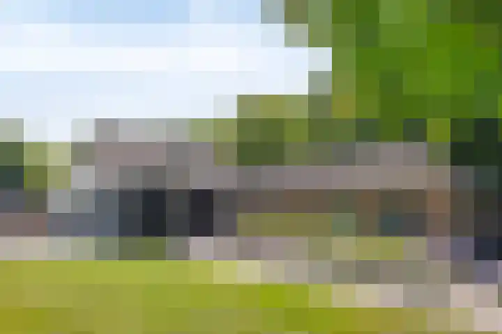 Elzerdijk 5 Joppe thumbnail 20