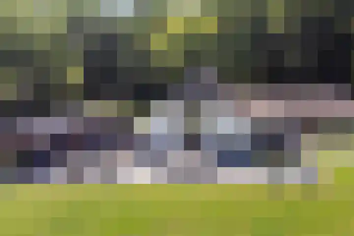 Elzerdijk 5 Joppe thumbnail 21