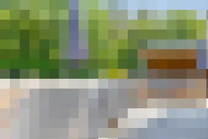 Elzerdijk 5 Joppe thumbnail 23