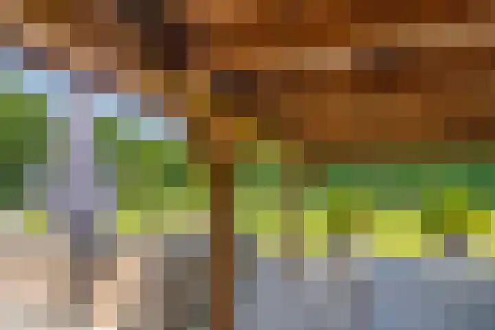 Elzerdijk 5 Joppe thumbnail 24