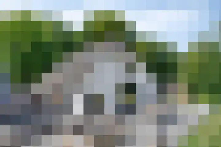 Elzerdijk 5 Joppe thumbnail 25