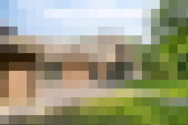 Elzerdijk 5 Joppe thumbnail 26