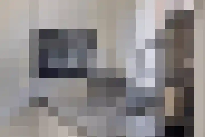Elzerdijk 5 Joppe thumbnail 32