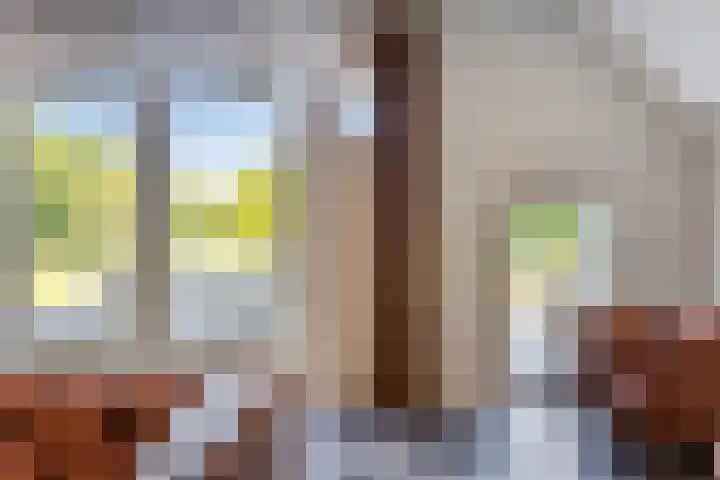 Elzerdijk 5 Joppe thumbnail 33
