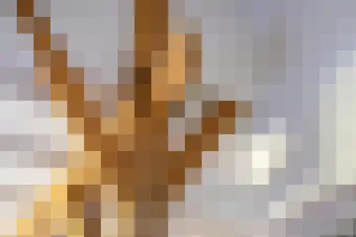 Elzerdijk 5 Joppe thumbnail 35