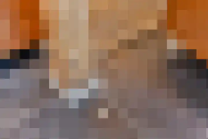 Elzerdijk 5 Joppe thumbnail 36