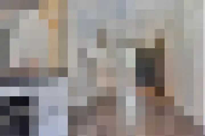 Elzerdijk 5 Joppe thumbnail 39