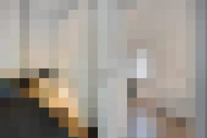 Elzerdijk 5 Joppe thumbnail 44