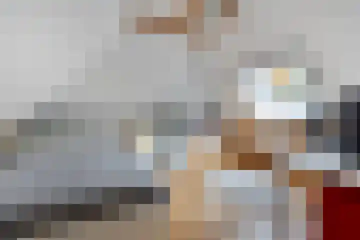 Elzerdijk 5 Joppe thumbnail 53