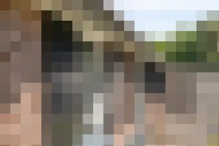Elzerdijk 5 Joppe thumbnail 55