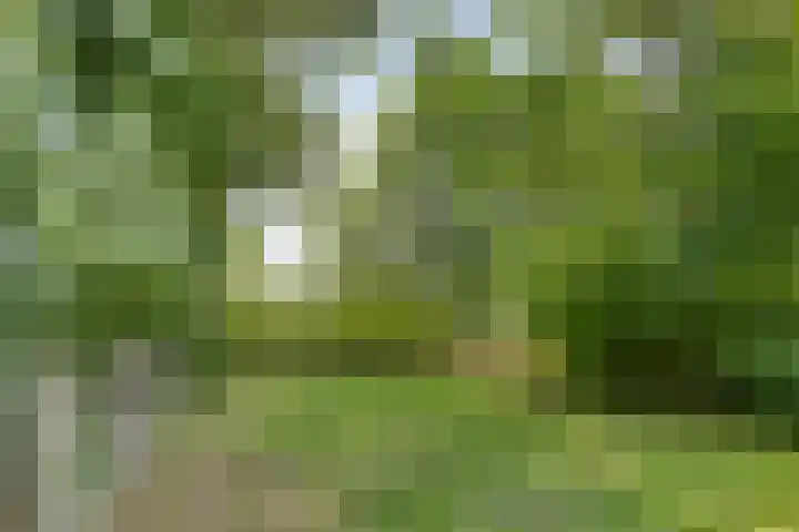 Elzerdijk 5 Joppe thumbnail 57