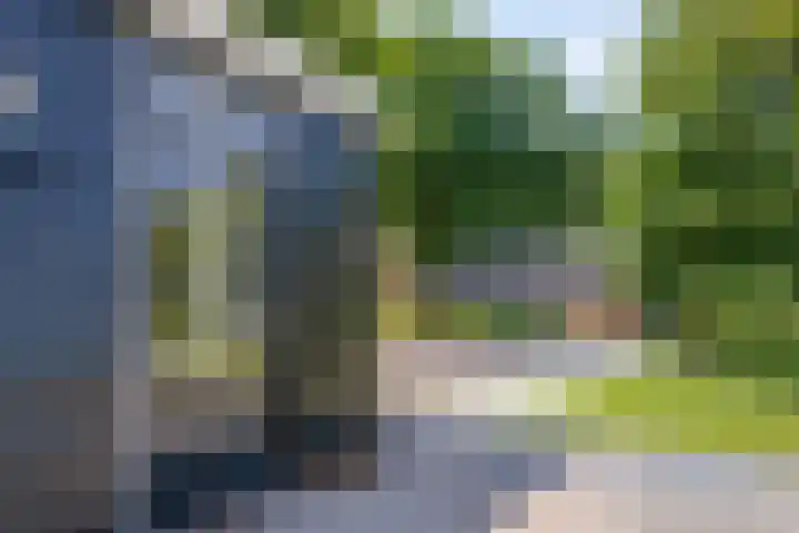 Elzerdijk 5 Joppe thumbnail 61