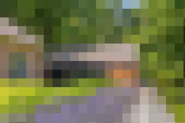 Elzerdijk 5 Joppe thumbnail 62