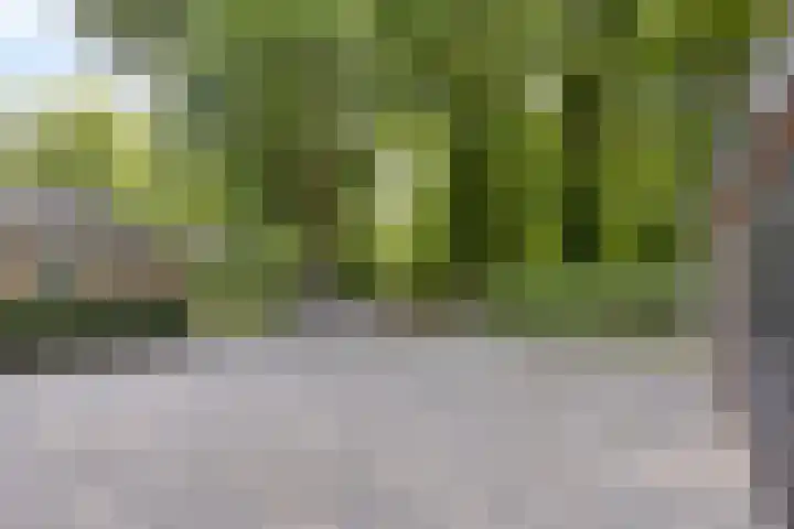 Elzerdijk 5 Joppe thumbnail 66